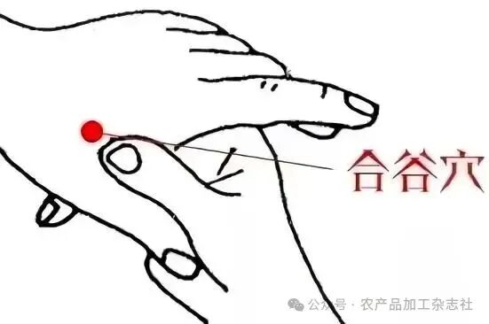 合谷穴.jpg