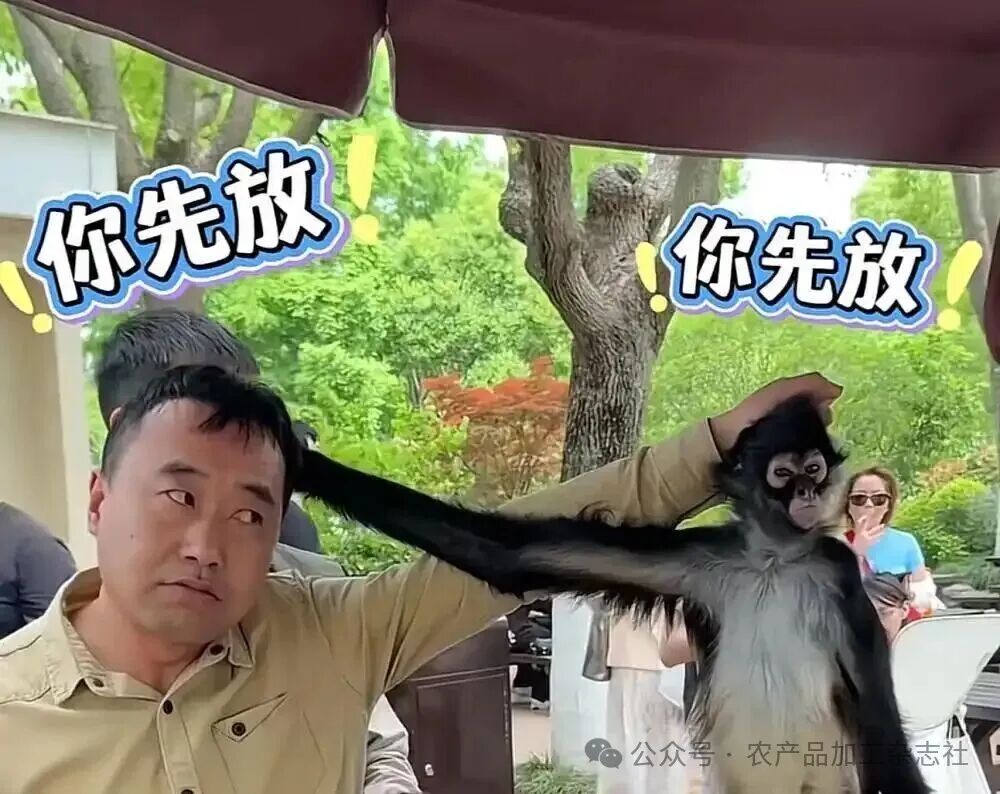 文章附图