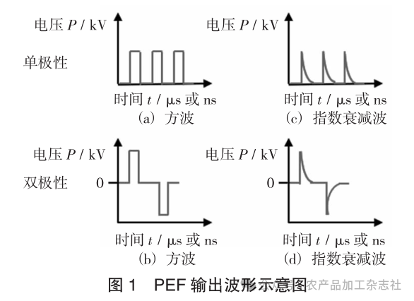 图 1PEF 输出波形示意图.png