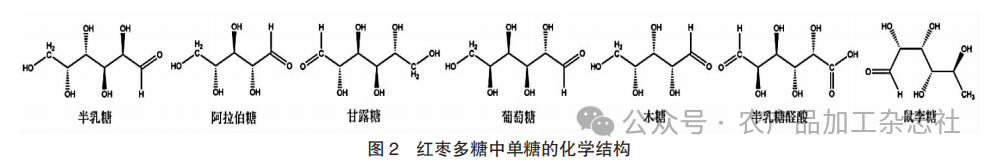 图 2 红枣多糖中单糖的化学结构.png
