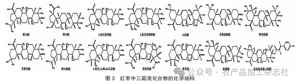 图 3 红枣中三萜类化合物的化学结构.png
