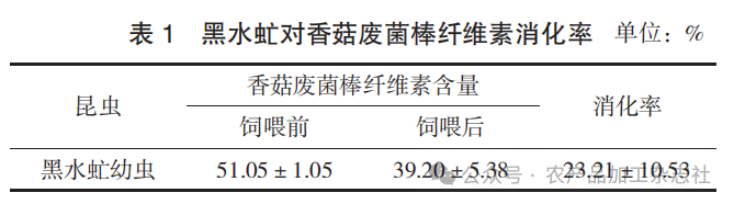 表 1 黑水虻对香菇废菌棒纤维素消化率.png