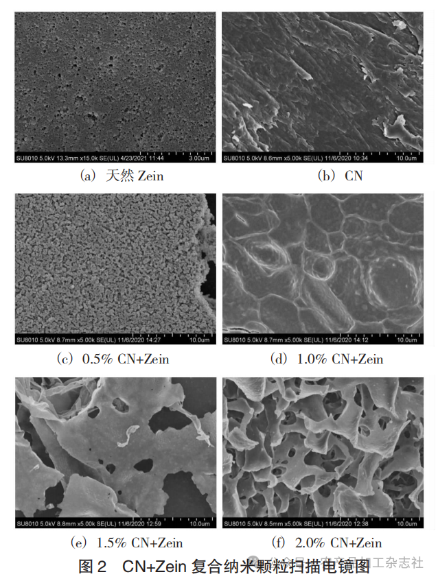 图 2 CN+Zein 复合纳米颗粒扫描电镜图.png