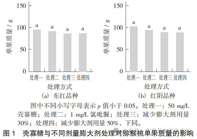 图 1 壳寡糖与不同剂量膨大剂处理对猕猴桃单果质量的影响.png