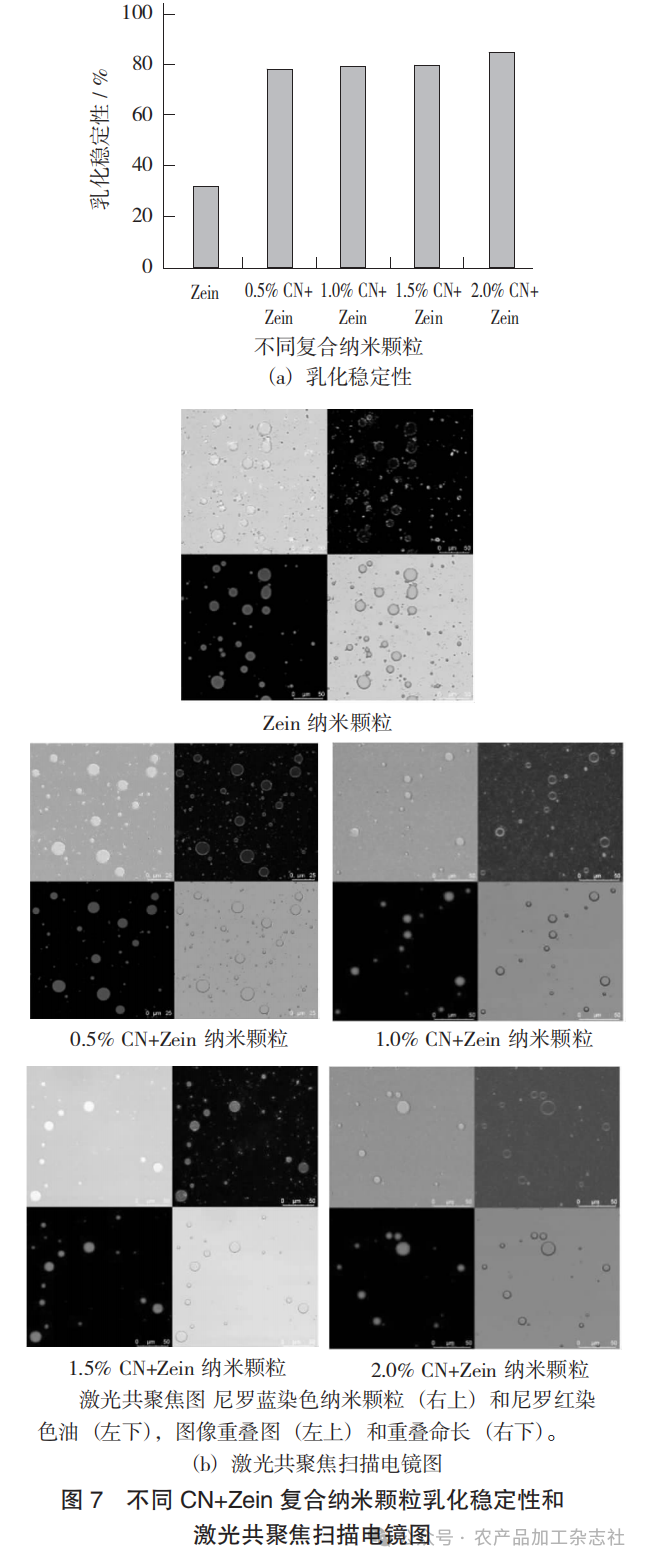 图 7 不同 CN+Zein 复合纳米颗粒乳化稳定性和激光共聚焦扫描电镜图.png