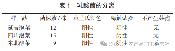 表 1 乳酸菌的分离.png