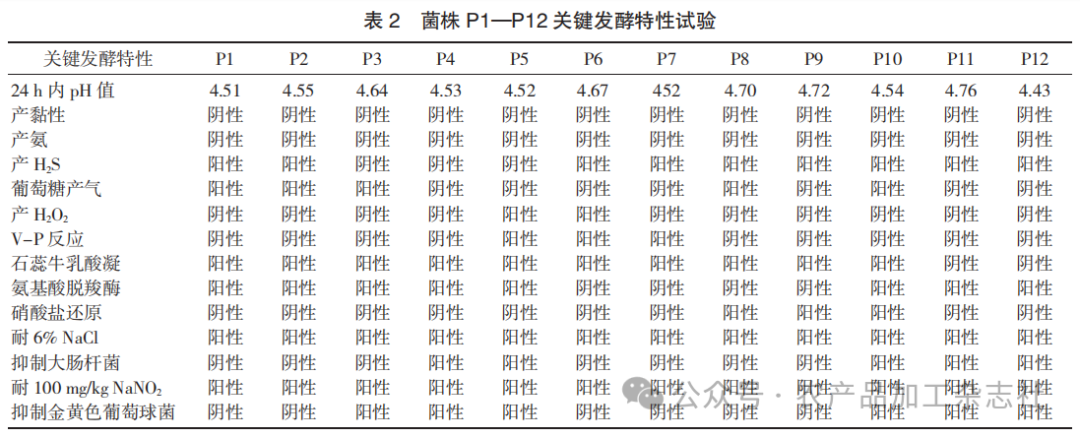 表 2 菌株 P1—P12 关键发酵特性试验.png