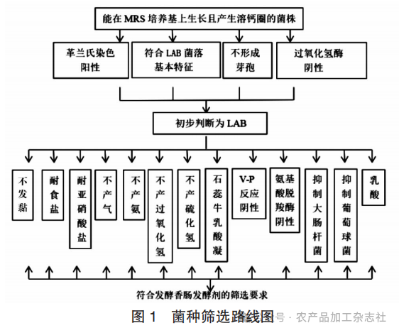 图 1 菌种筛选路线图.png
