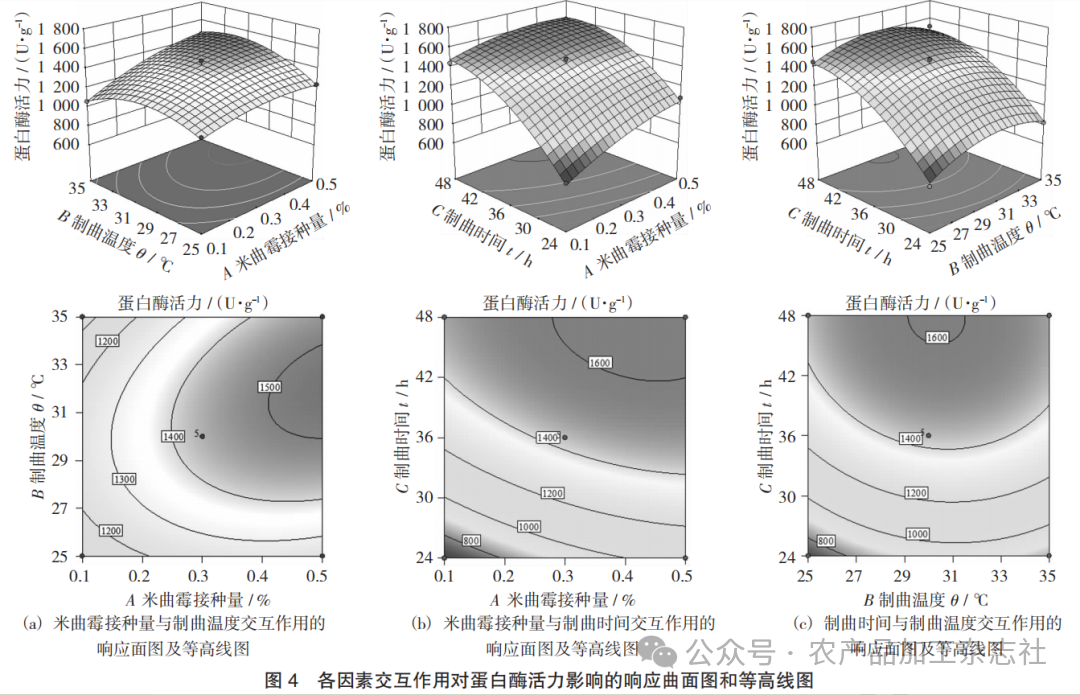 图 4 各因素交互作用对蛋白酶活力影响的响应曲面图和等高线图.png