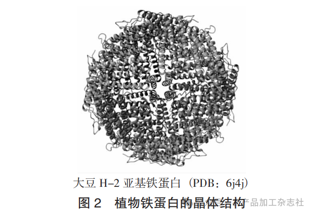 图 2 植物铁蛋白的晶体结构.png